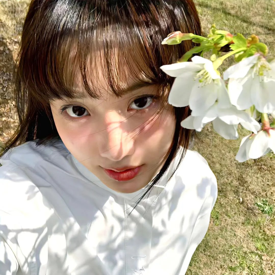 春情妃子